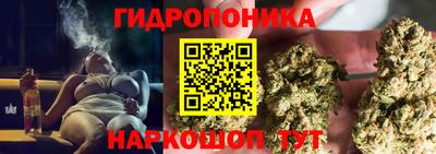 СК Будённовск