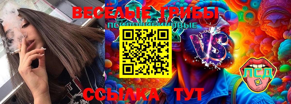 сколько стоит  Вход с VPN  Лыткарино  Галлюциногенные грибы GOLDEN TEACHER  Галлюциногенные грибы MAGIC MUSHROOMS 